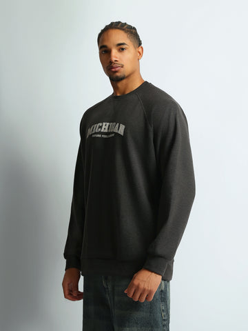 Sweatshirts Regular fit printed