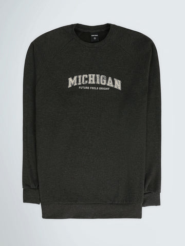 Sweatshirts Regular fit printed