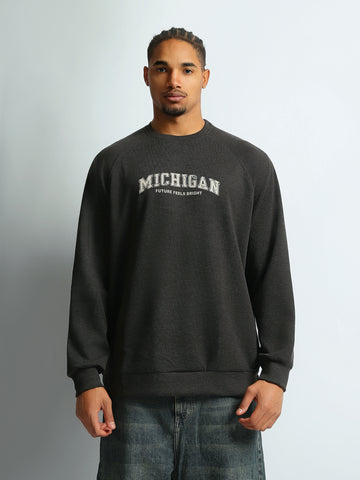 Sweatshirts Regular fit printed
