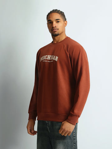 Sweatshirts Regular fit printed